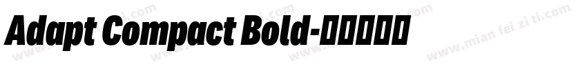 Adapt Compact Bold字体转换